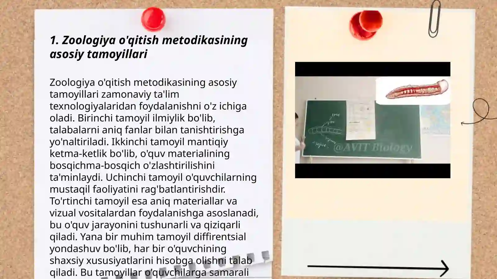 Zoologiya o’qitish metodikasi, hususiy masalalari jumladan “ yassi, togarak, halqali chuvalchanglar tipini” o’rganish metodikasi 3
