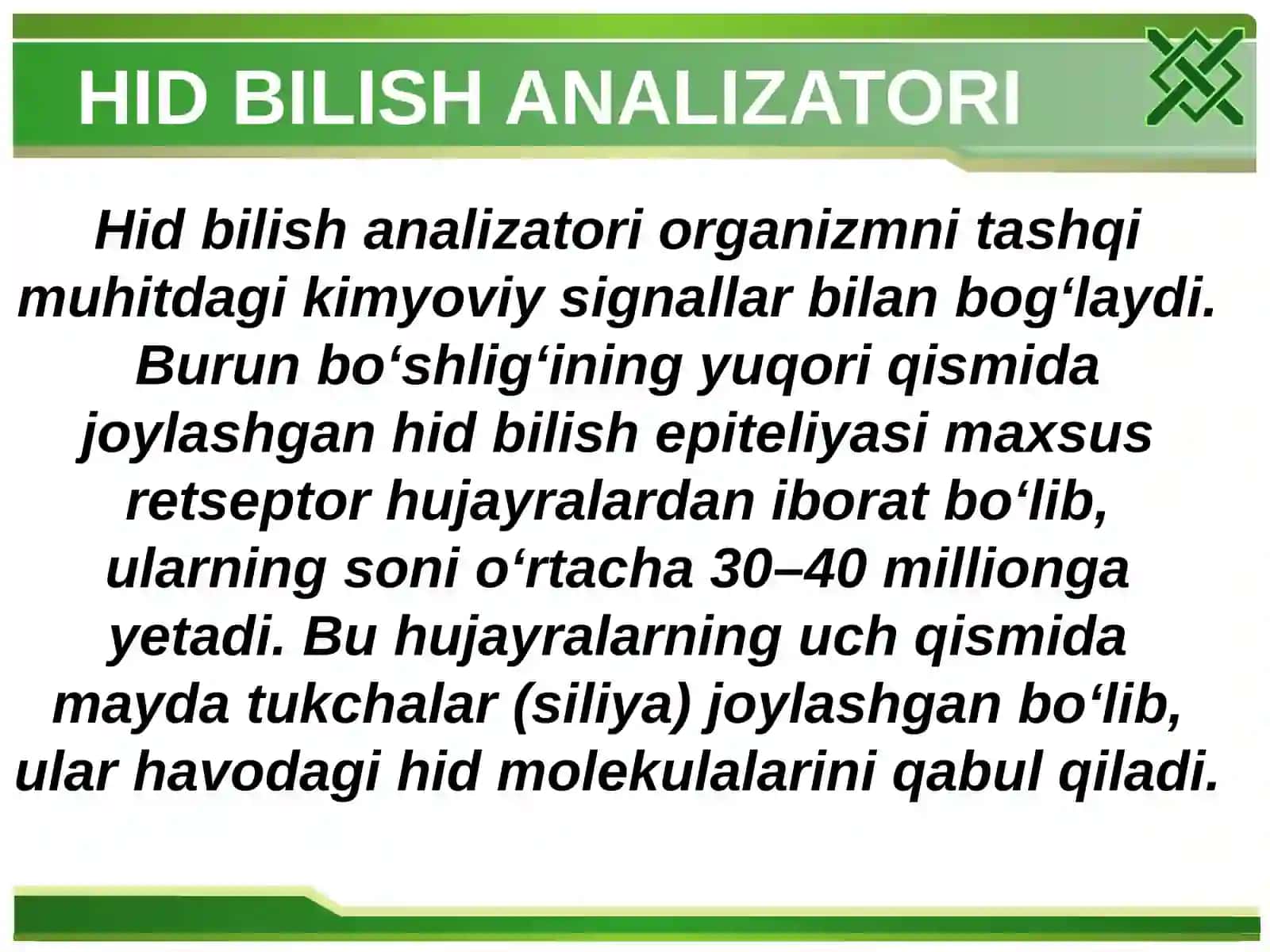Sezgi a’zolari. Hid bilish, ta’m bilish va teri analizatori 3
