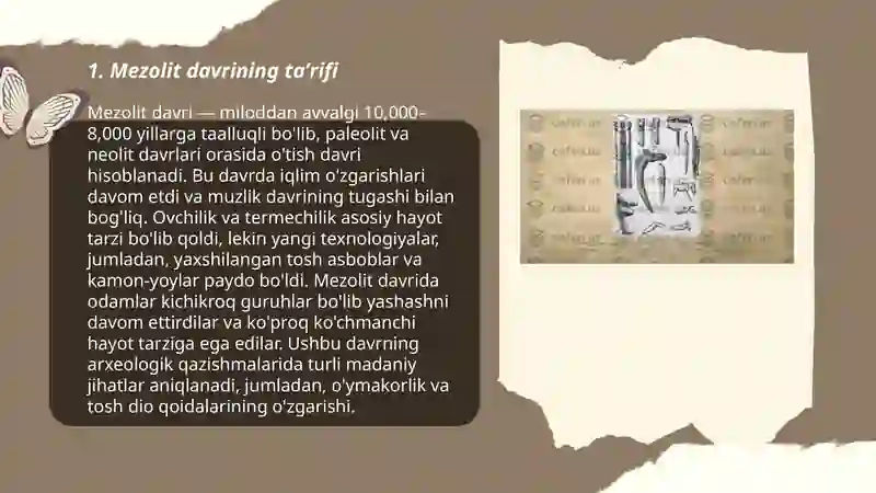 Mezolit davri 3