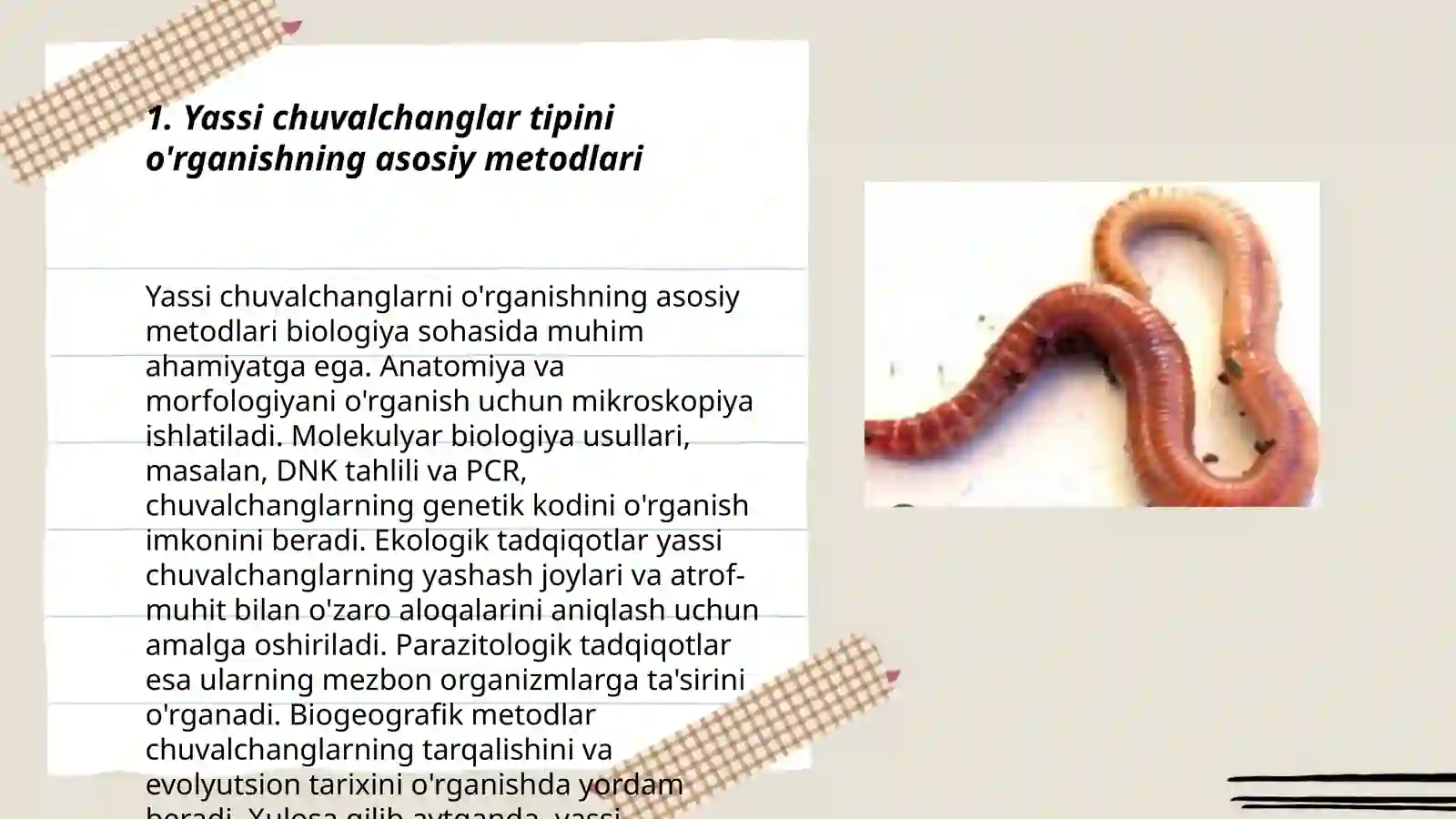 Tabiatshunoslik fanida Zoologiya oqitish metodikasi xususiy masalalari: jumladan, Yassi, yumaloq, halqali chuvalchanglar tipini organish metodikasi 3