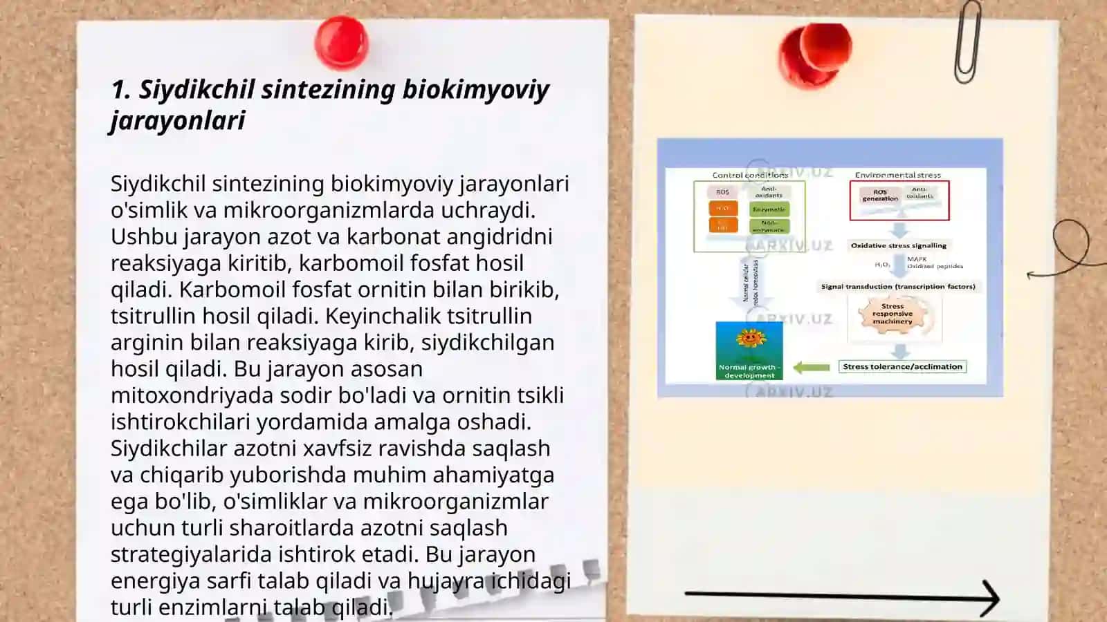 Siydikchil sintezi va chiqarilishining buzilishi, reaksiyalari 3