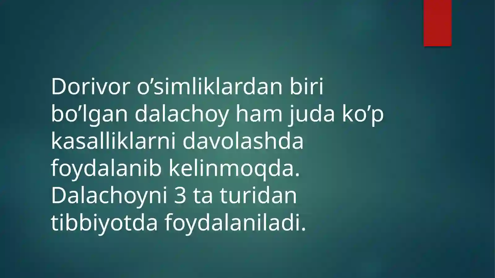 Dalachoy 3