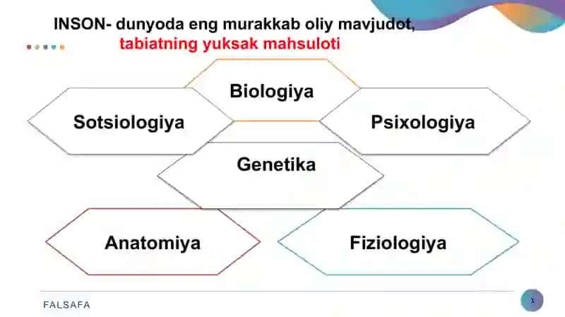 Falsafiy antropologiya (Insоn falsafasi) 3