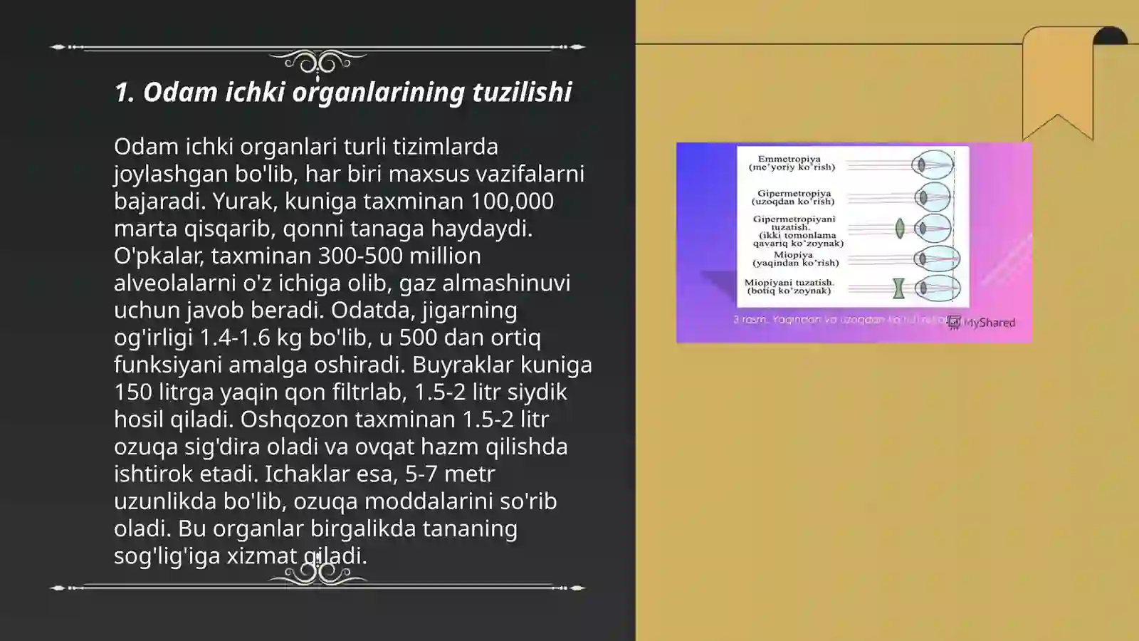 Odam tana tuzilishi va funksiyalari. Analizatorlar tuzilishi va vazifalari 3