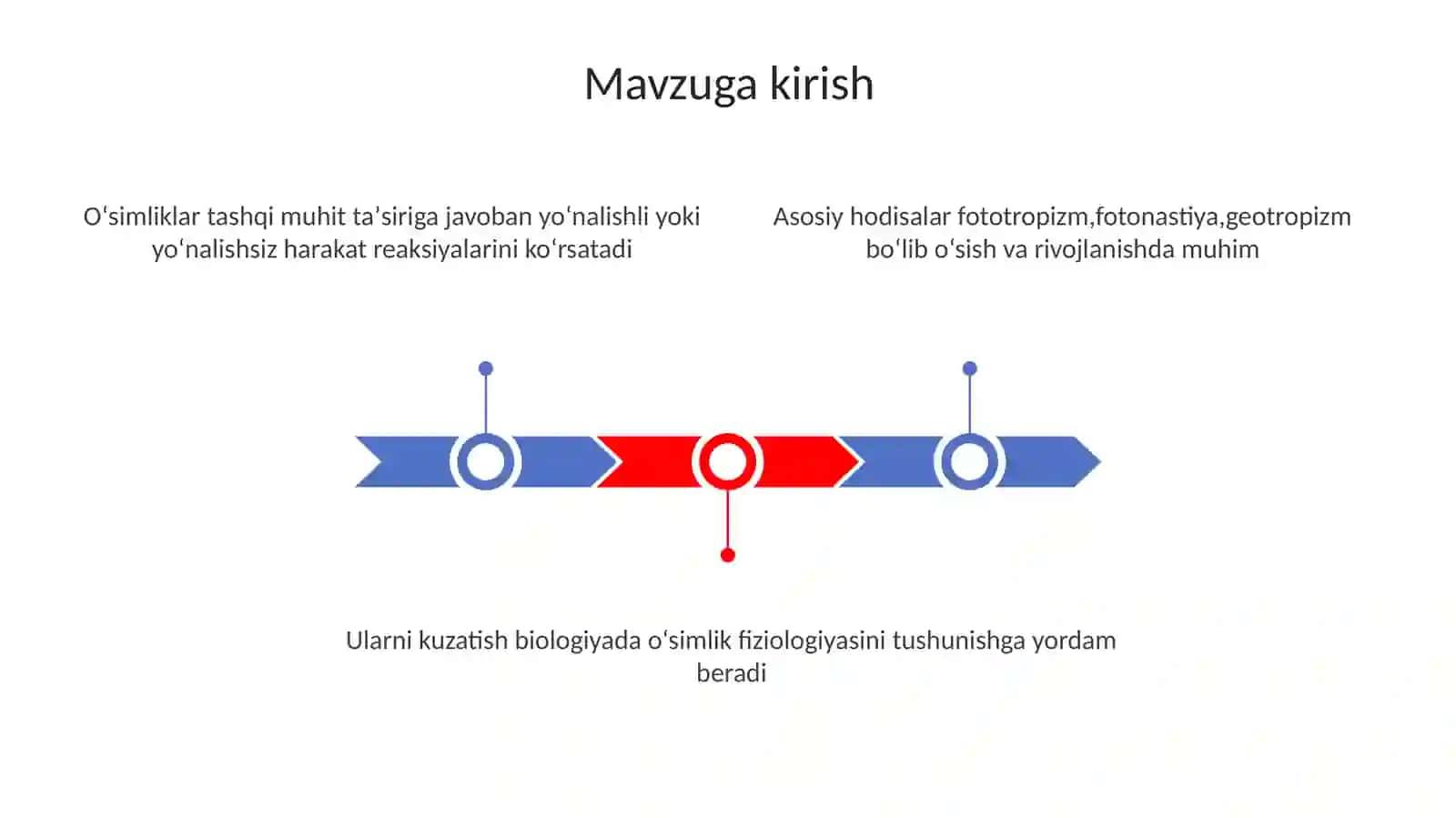 Oʻsimliklarda fototropizm, fotonastiya, geotropizm hodisalarini kuzatish 3
