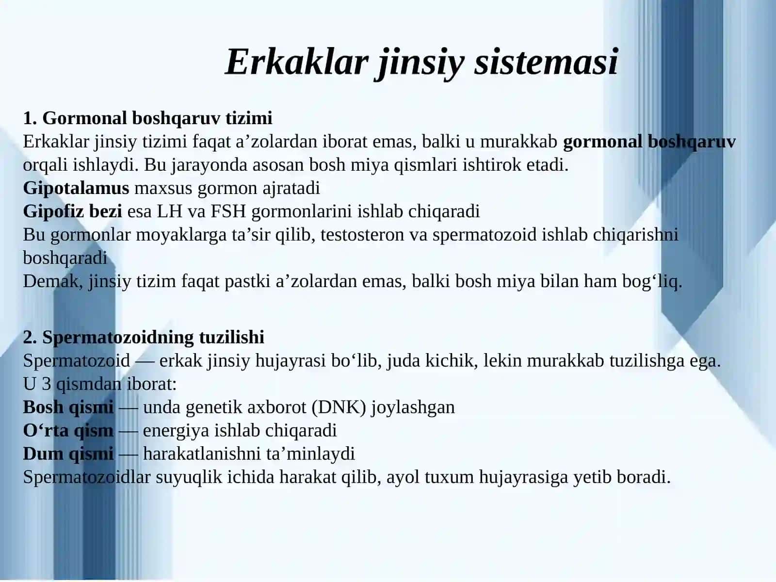 Erkaklar jinsiy sistemasi. 3