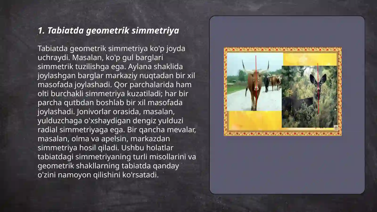 Tabiat va san'atda simmetriya 3