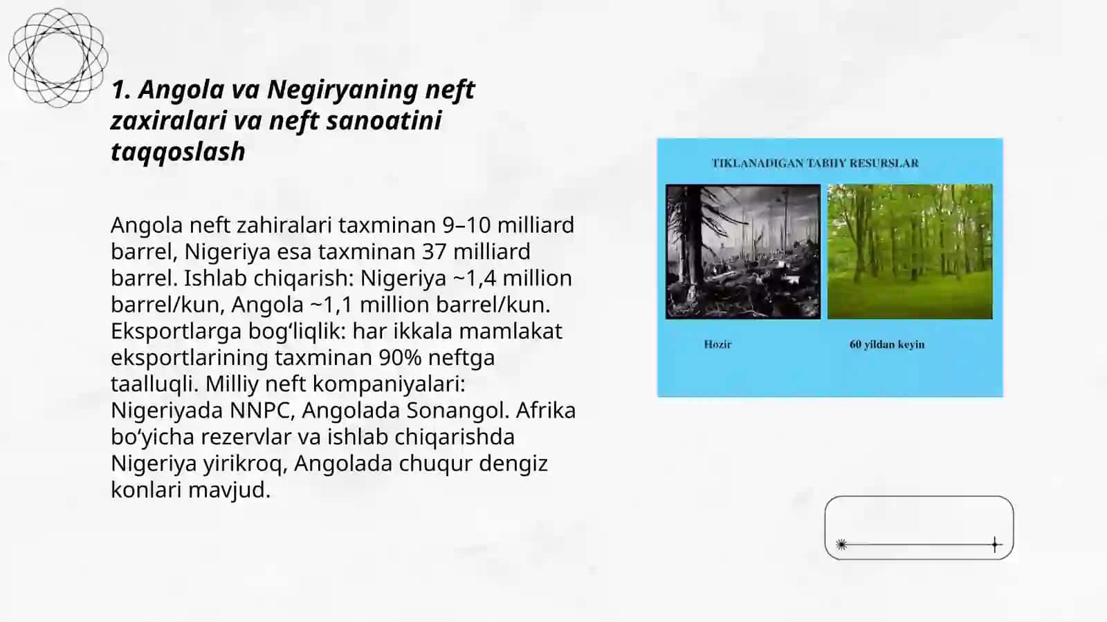 Angola va Negiryaning tabiy boyliklarini taqoslah 3