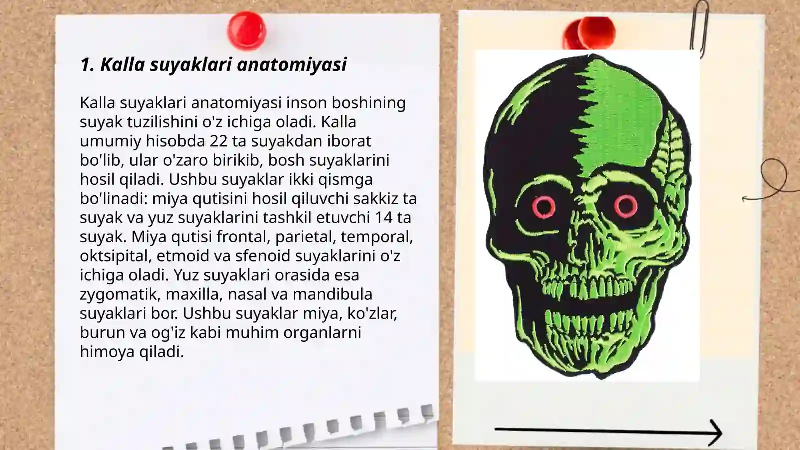 Preview 3