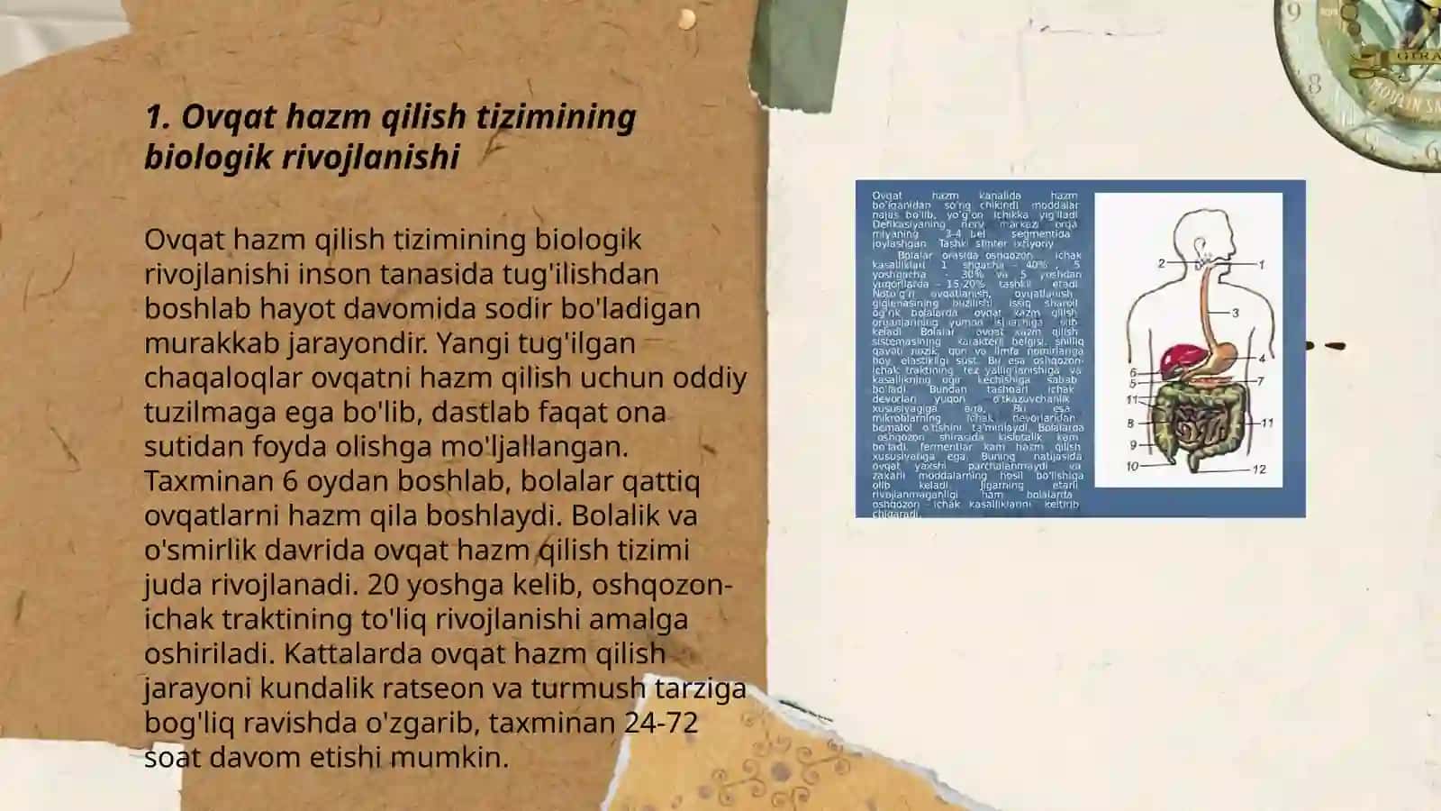 Ovqat hazm qilish tizimining yosh xususiyatlari 3