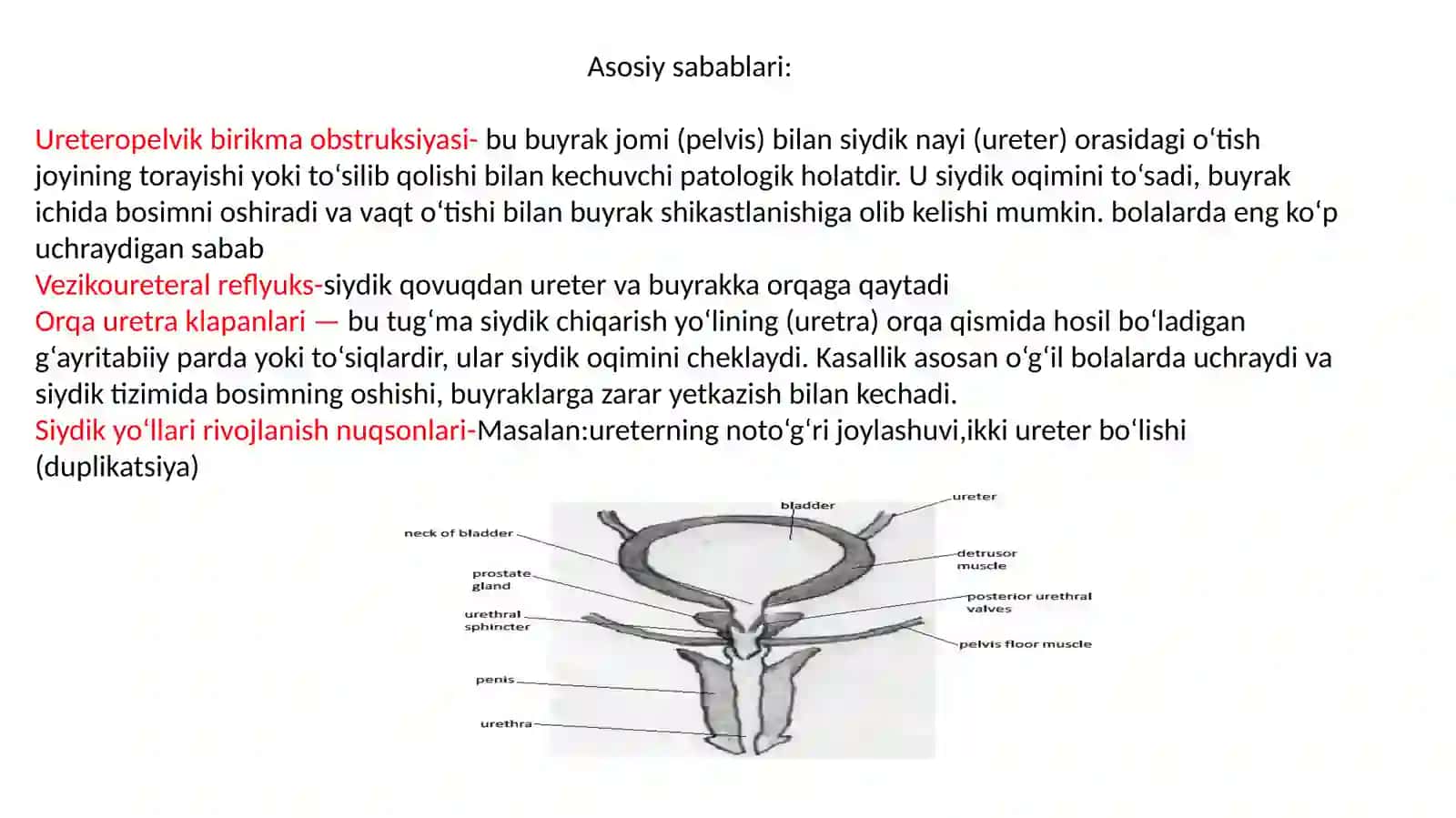 Tug’ma bolalarda gidronefrozlar 3