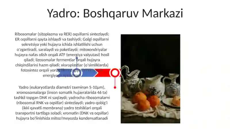 Hujayra nazariyasi hujayra organoidlarining hujayra hayot faoliyatidagi o'rni 3