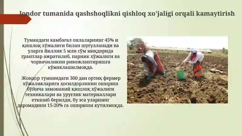 Jondor tumanida qashshoqlikni qishloq xo'jaligi orqali kamaytirish 3