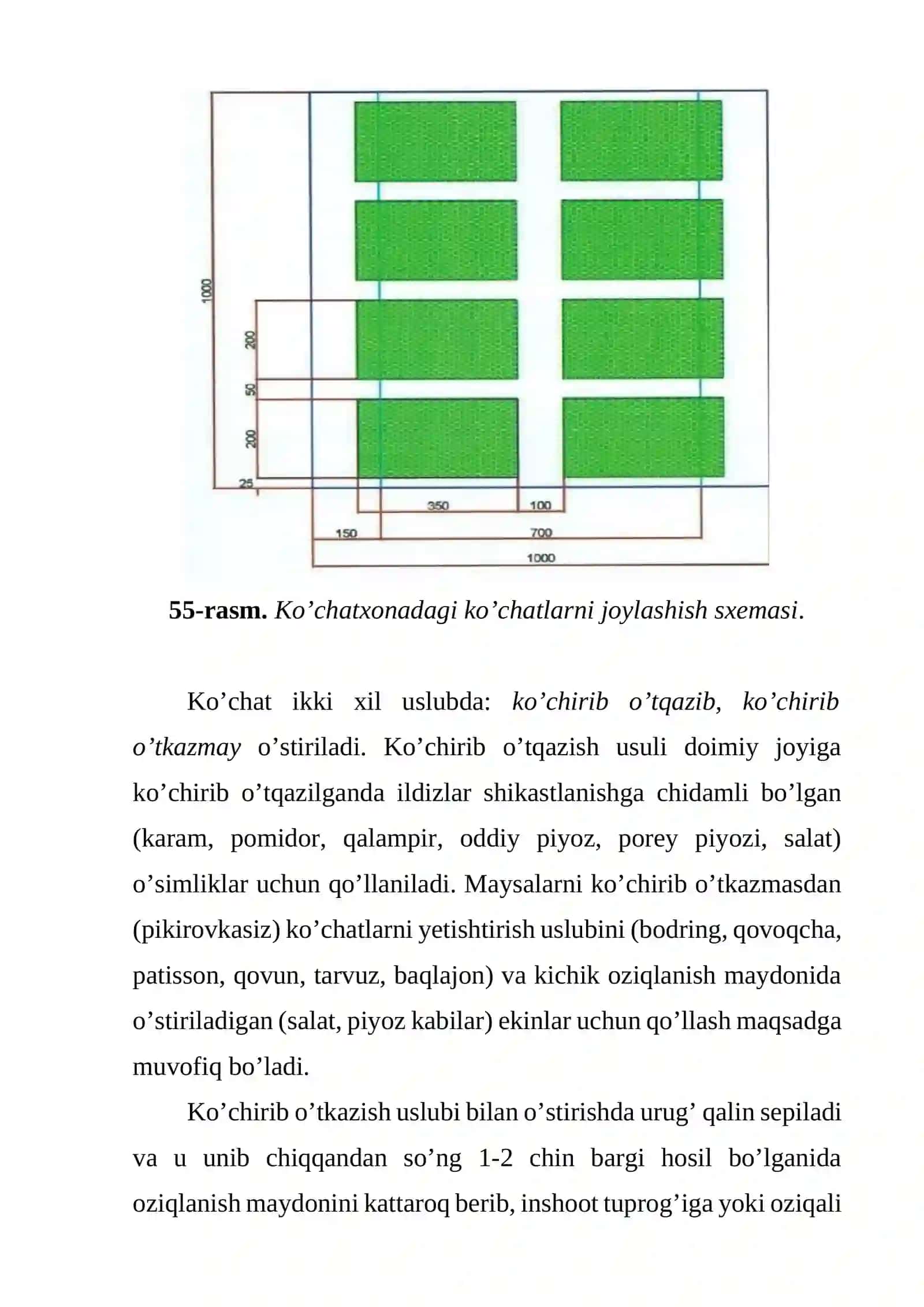 Ko’chat yetishtirishning umumiy usullari 3