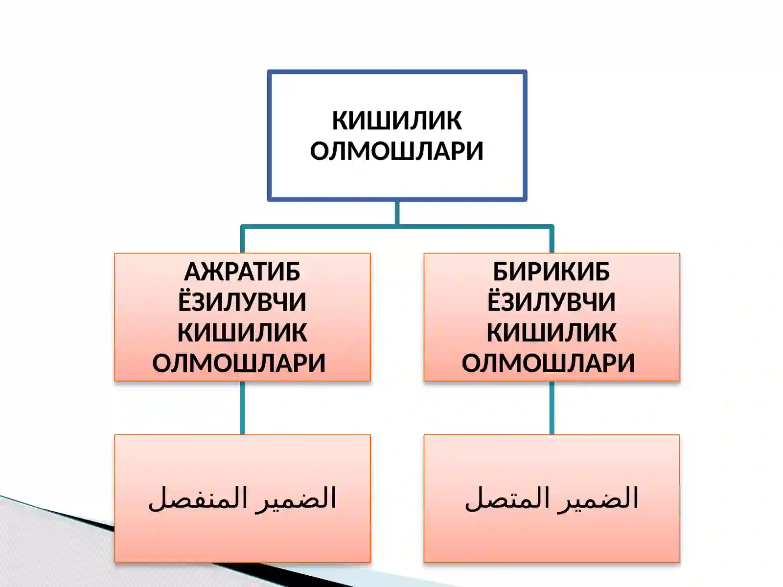 КИШИЛИК ОЛМОШЛАРИ 3
