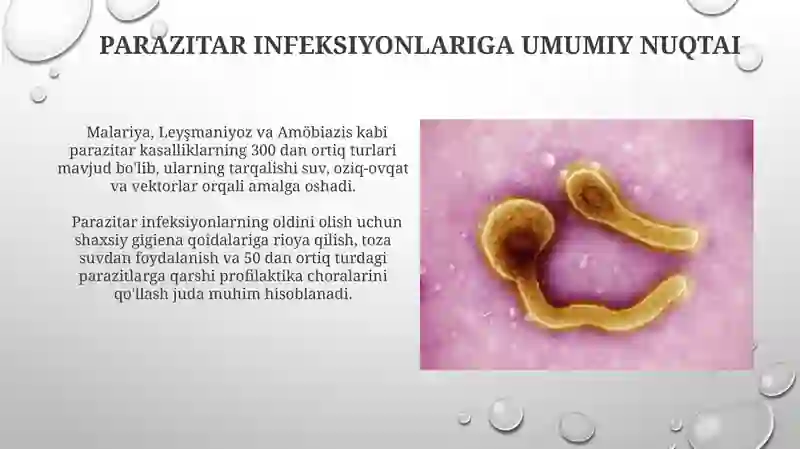 Parazitar infeksiyonlar 3