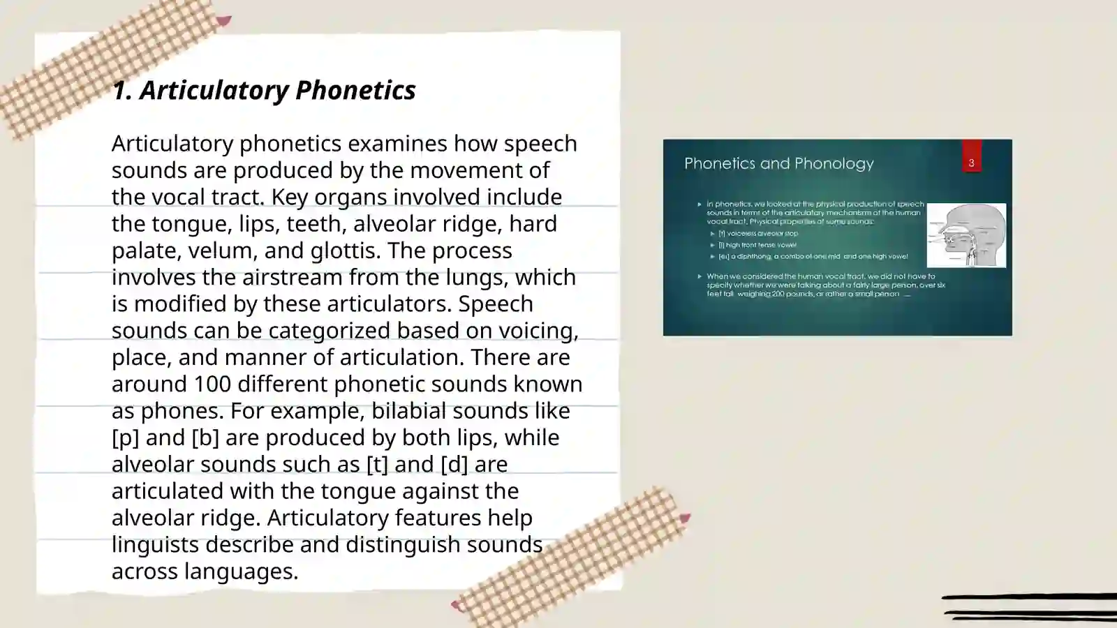 Articulatory Phonetics 3