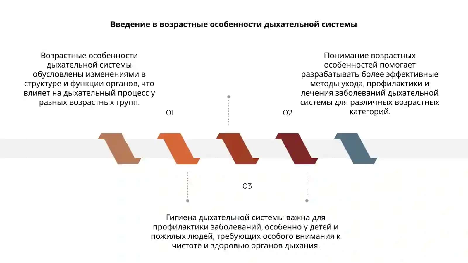 Возрастные особенности и гигиена дыхательной системы 3