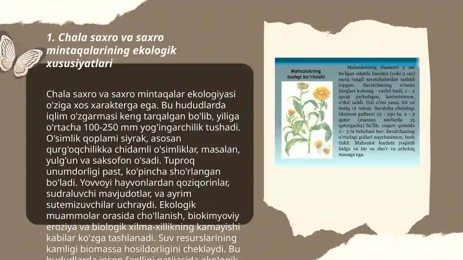 Chala saxro va saxro mintaqalarining ekologik xususiyatlari 3
