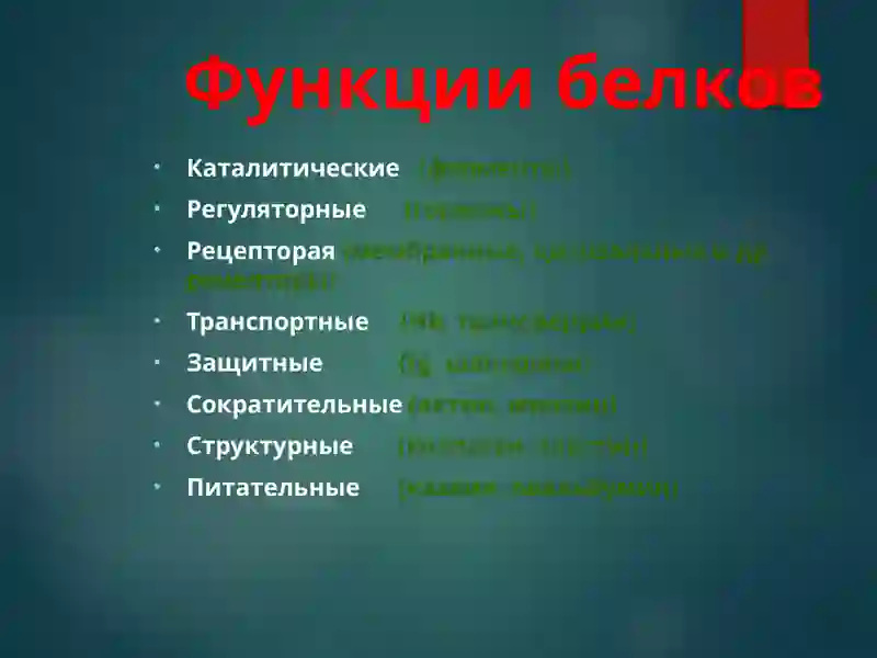 Строение и функции белков 3