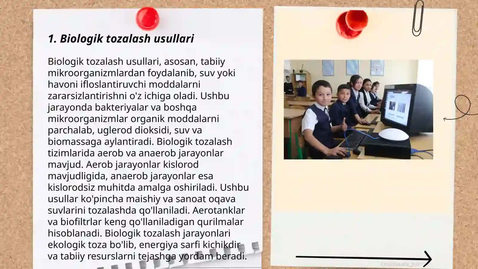 Ifloslangan tuproqlar boʻyicha ishlab chiqilgan tozalash metod va texnologiyalari 3