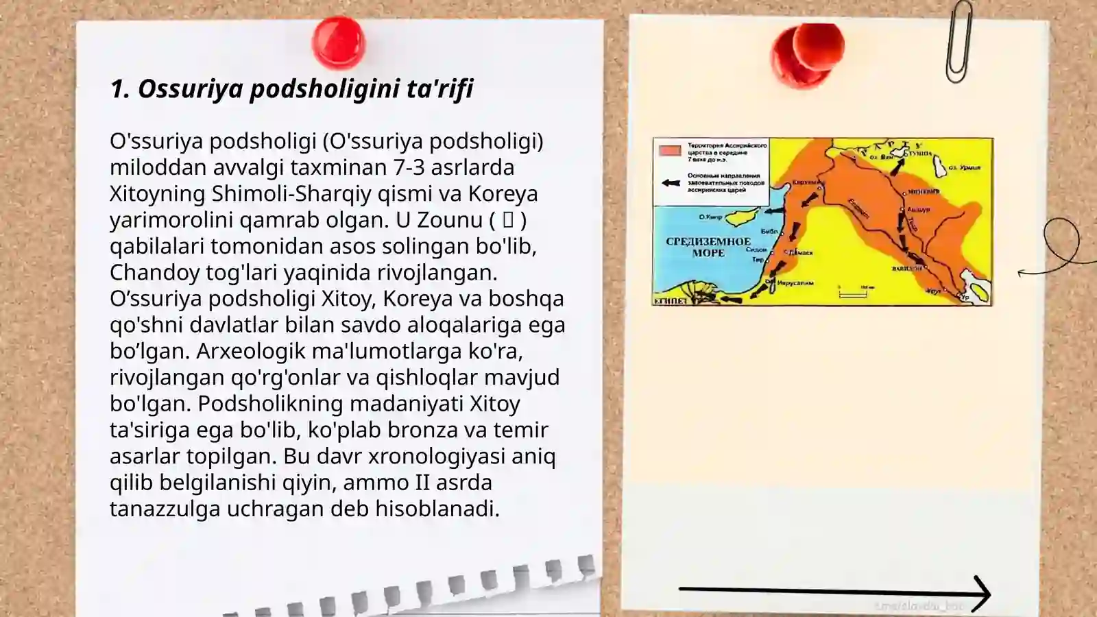 Ossuriya podsholigi 3