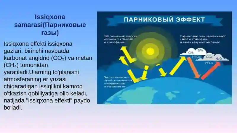 Issiqxona samarasi 3