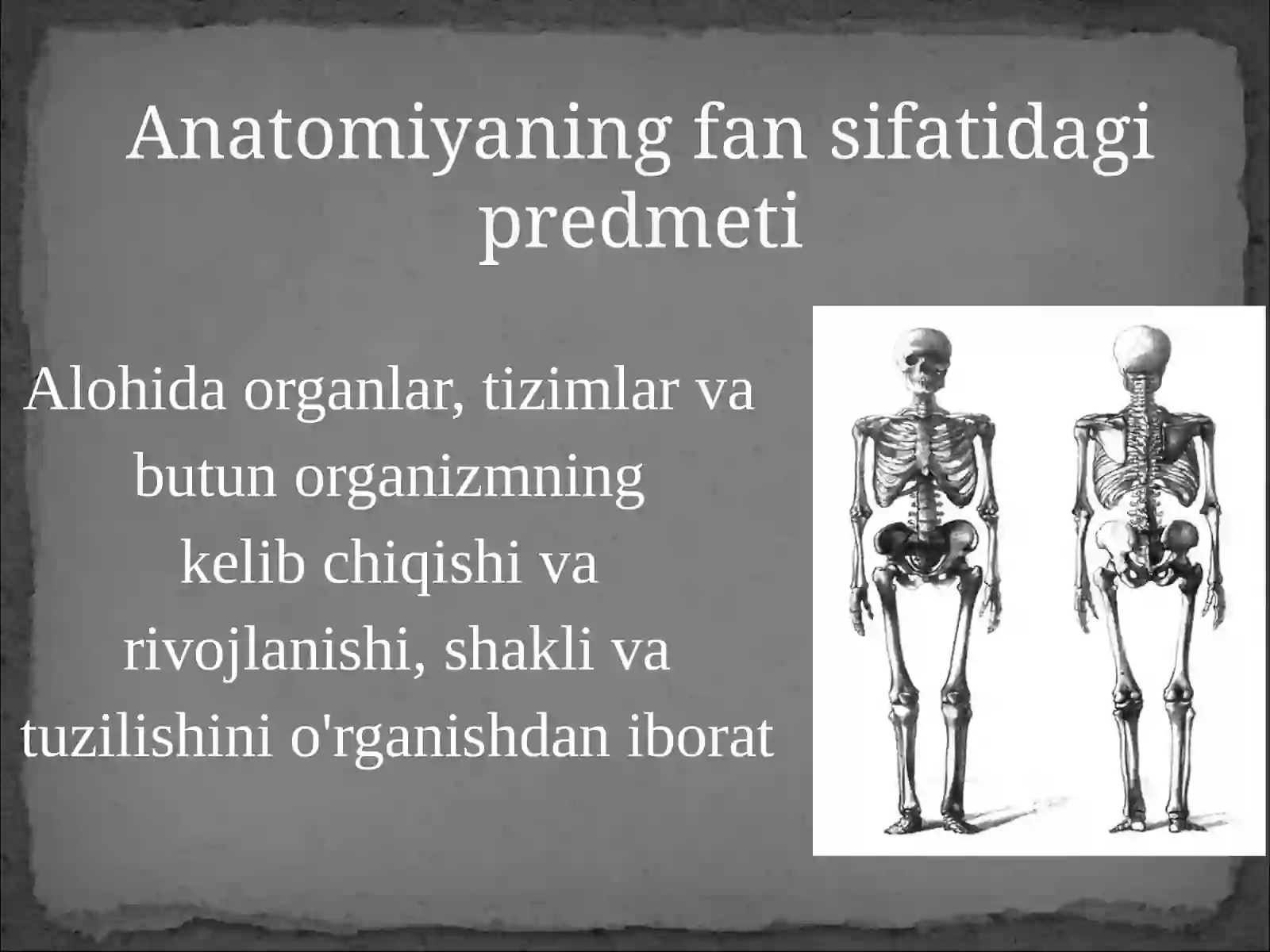 Odam anatomiyasi 3