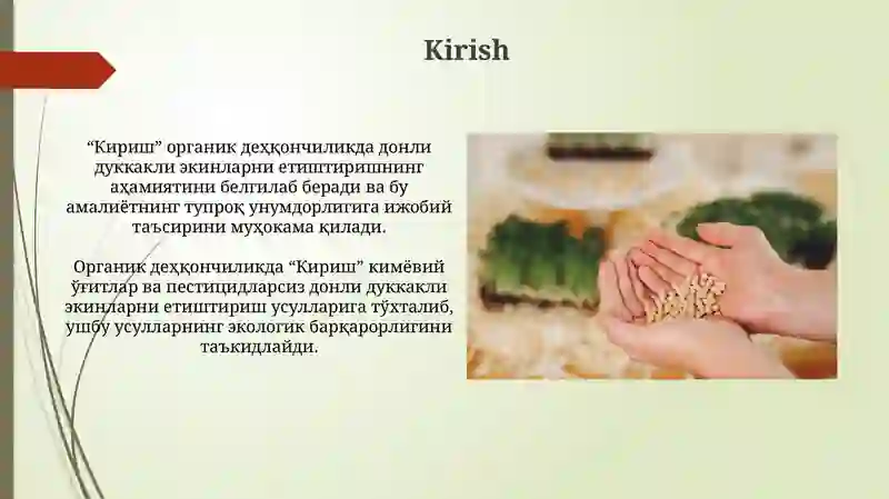 Кириш 3