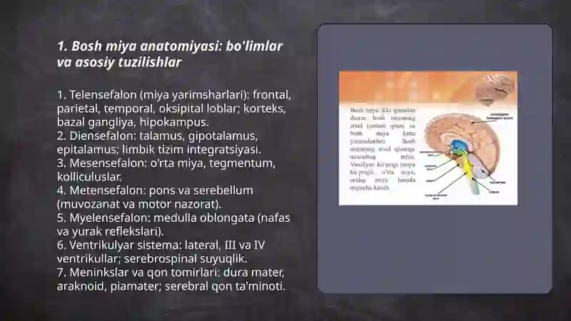 Bosh miya va orqa miya 3
