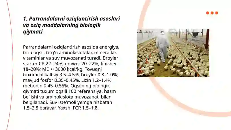 Parrandalarni oziqlantirish texnalogiyalari 3