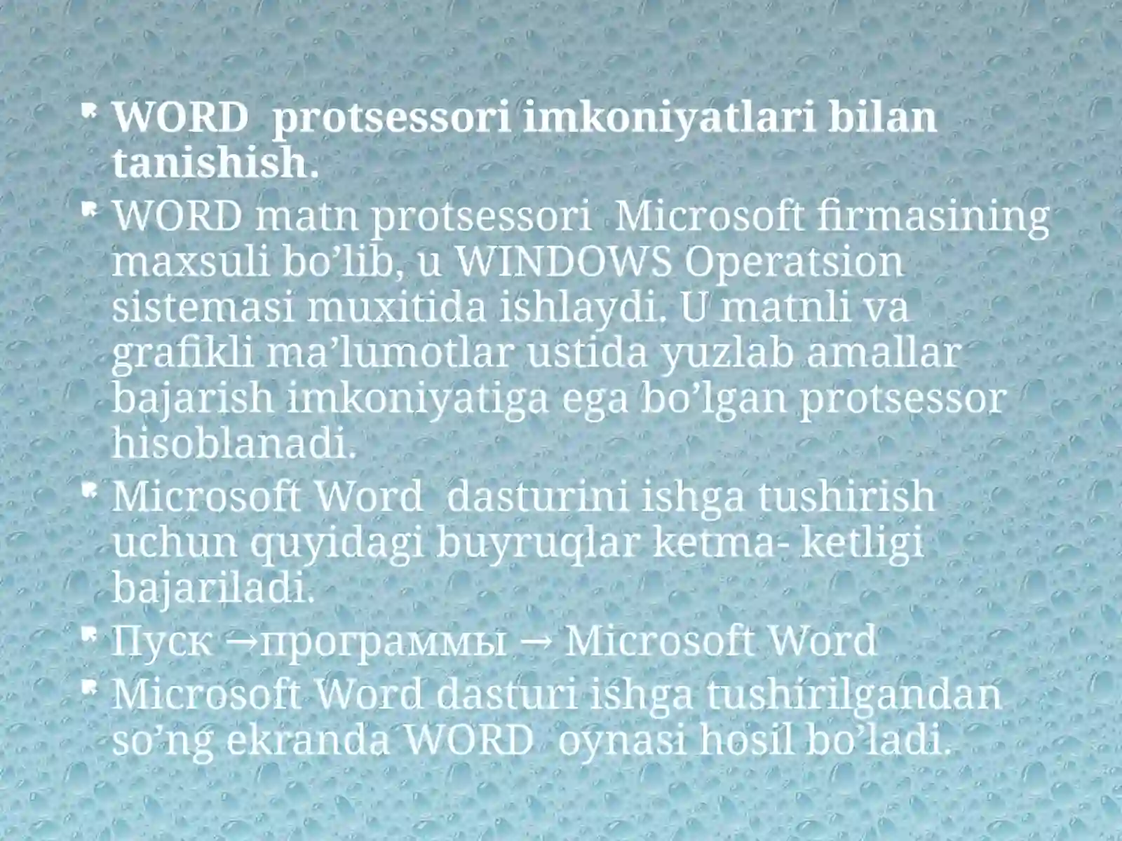 Matn muharriri MS word dasturi 3