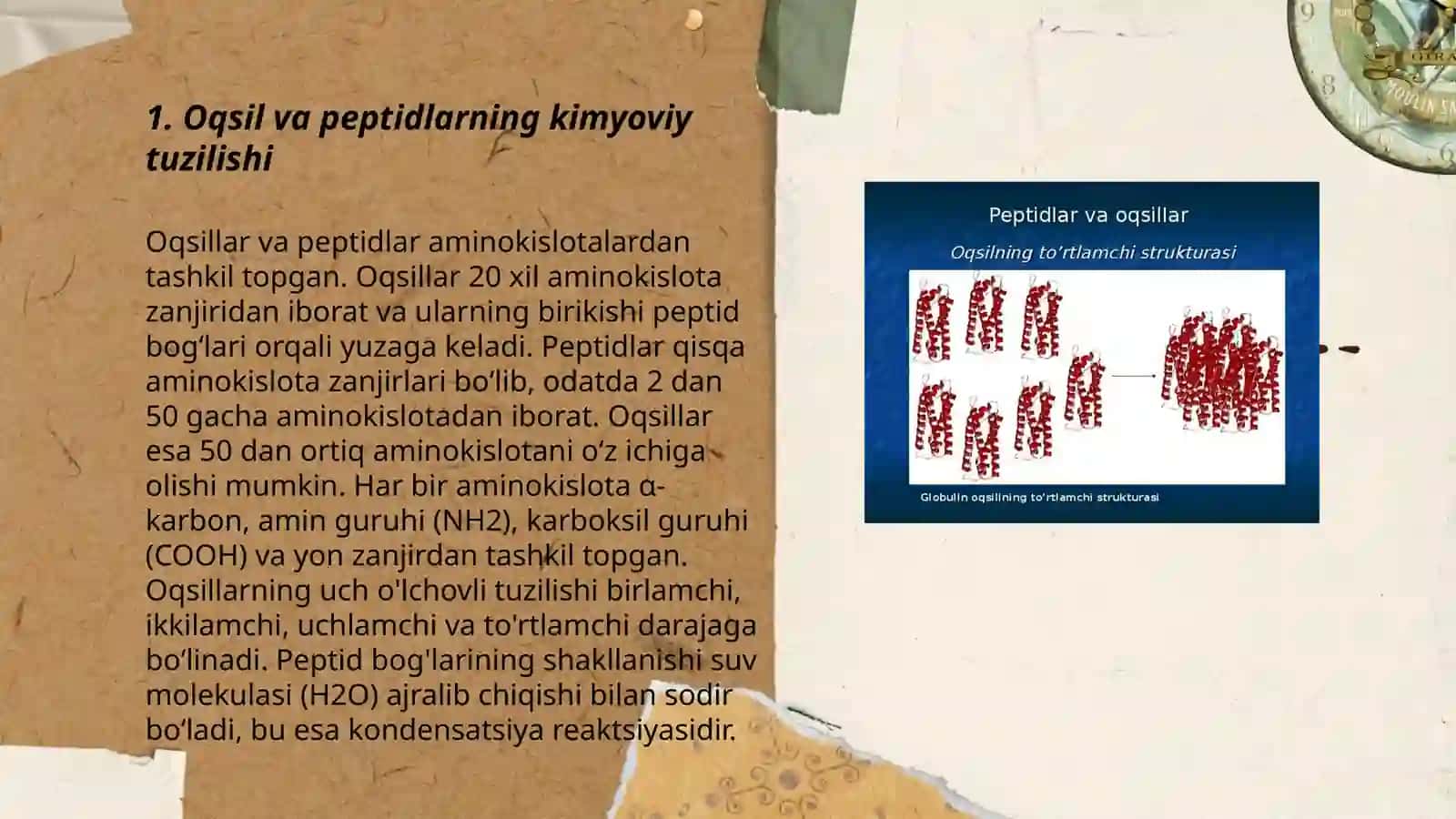 Oqsil va peptidlarning kimyoviy tuzilishini aniqlashda zamonaviy sekvenatorlarning ishlash prinsiplarini o'zlashtirish 3