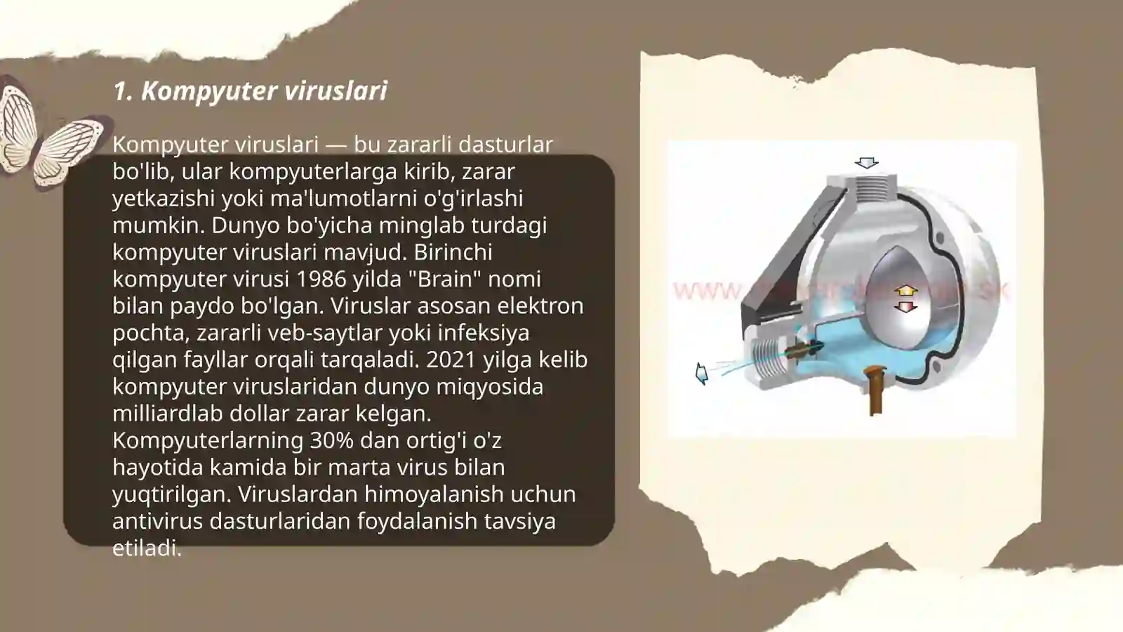Kompyuter viruslari 3