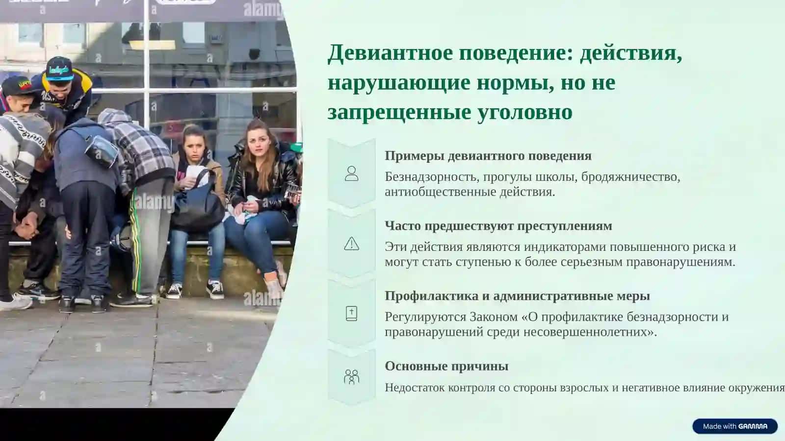 Преступность, преступность несовершеннолетних и профилактические услуги 3