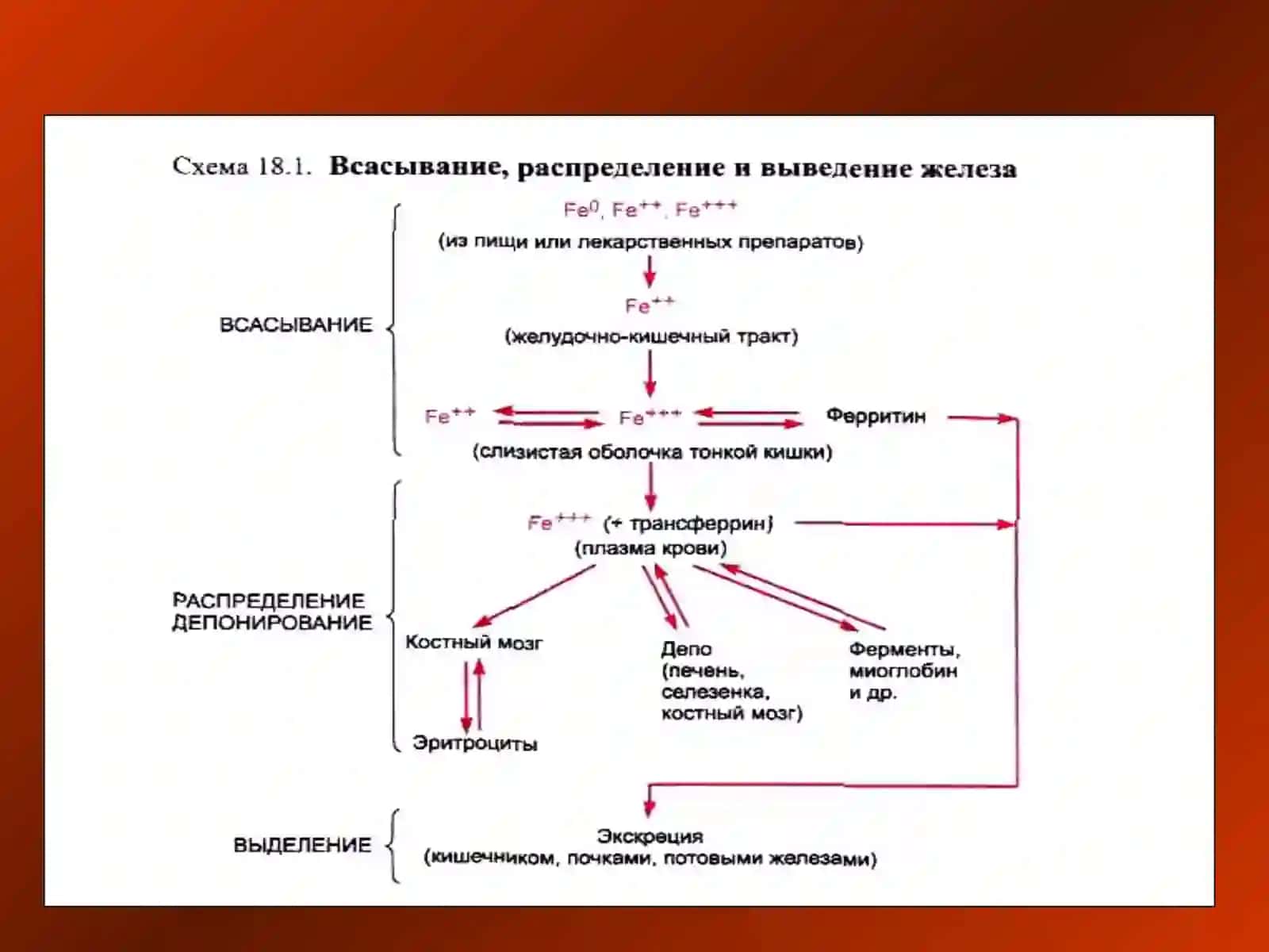Эритропоэзга таъсир этувчи воситалар 3