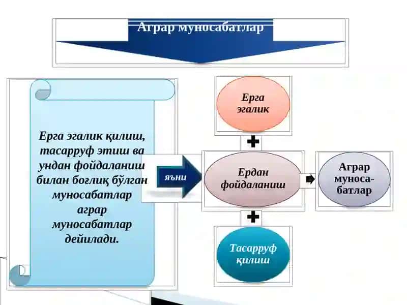 Тармоқлар иқтисодиёти (“Қишлоқ хўжалиги иқтисодиёти”) фани 3