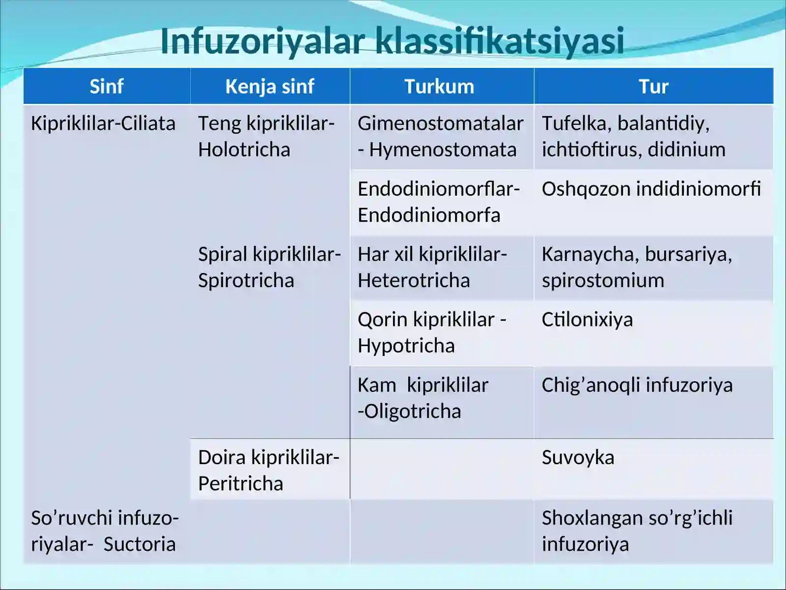 Infuzoriyalar tipi 3