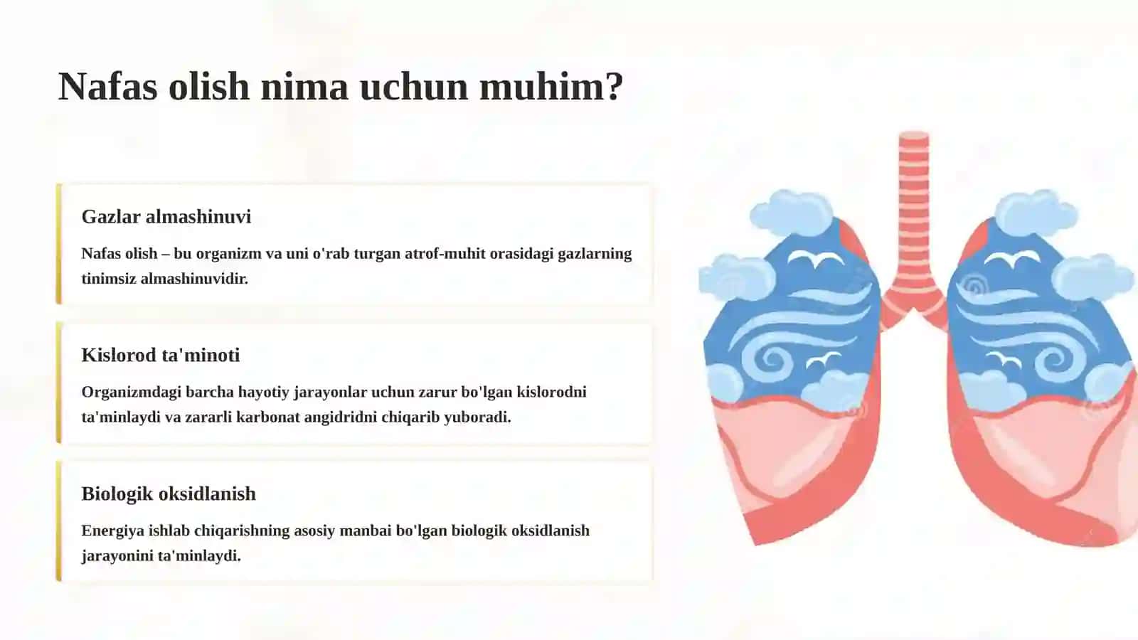 Nafas Olish Tizimining Fiziologiyasi 3