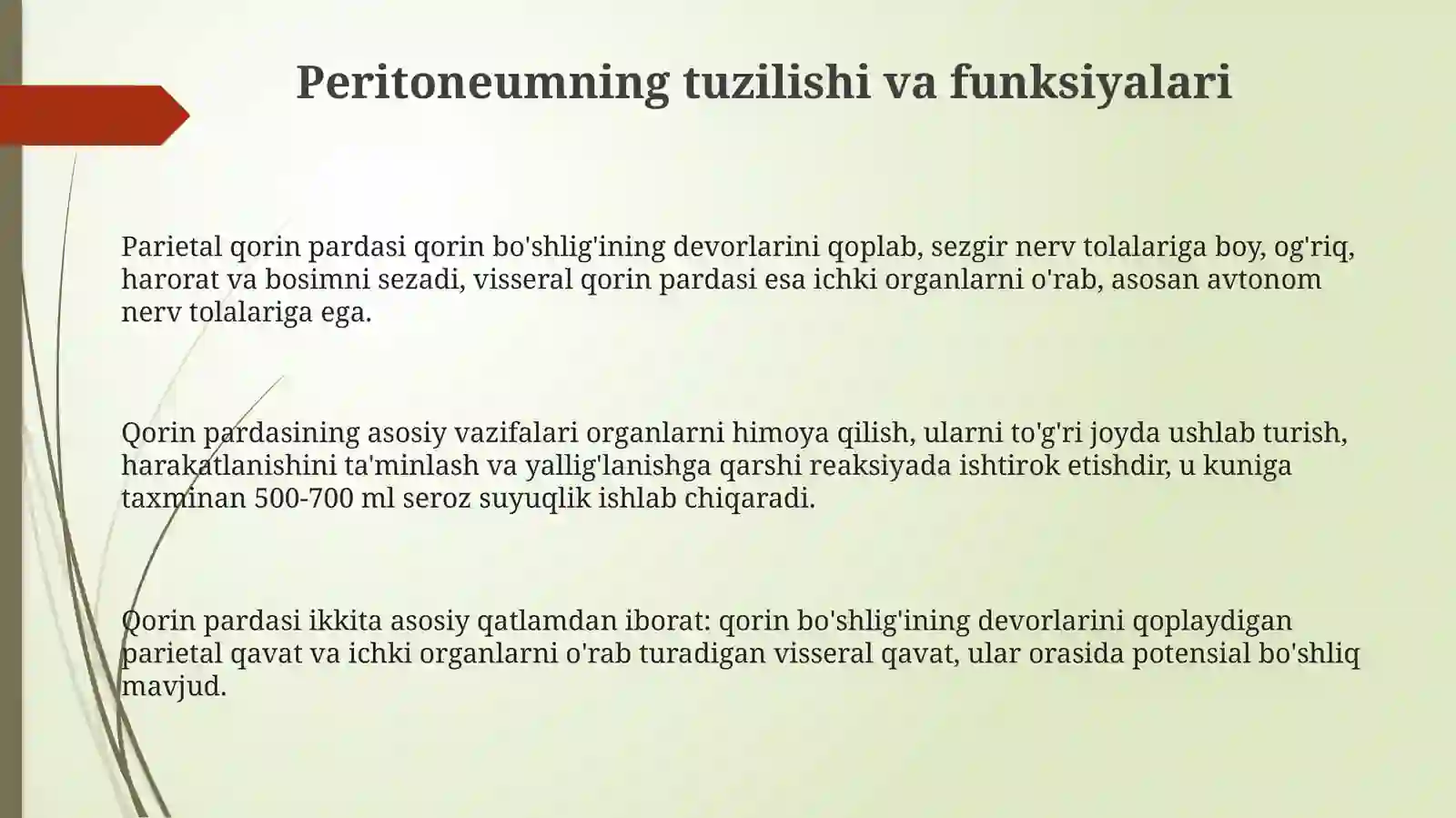 Qorinparda 3