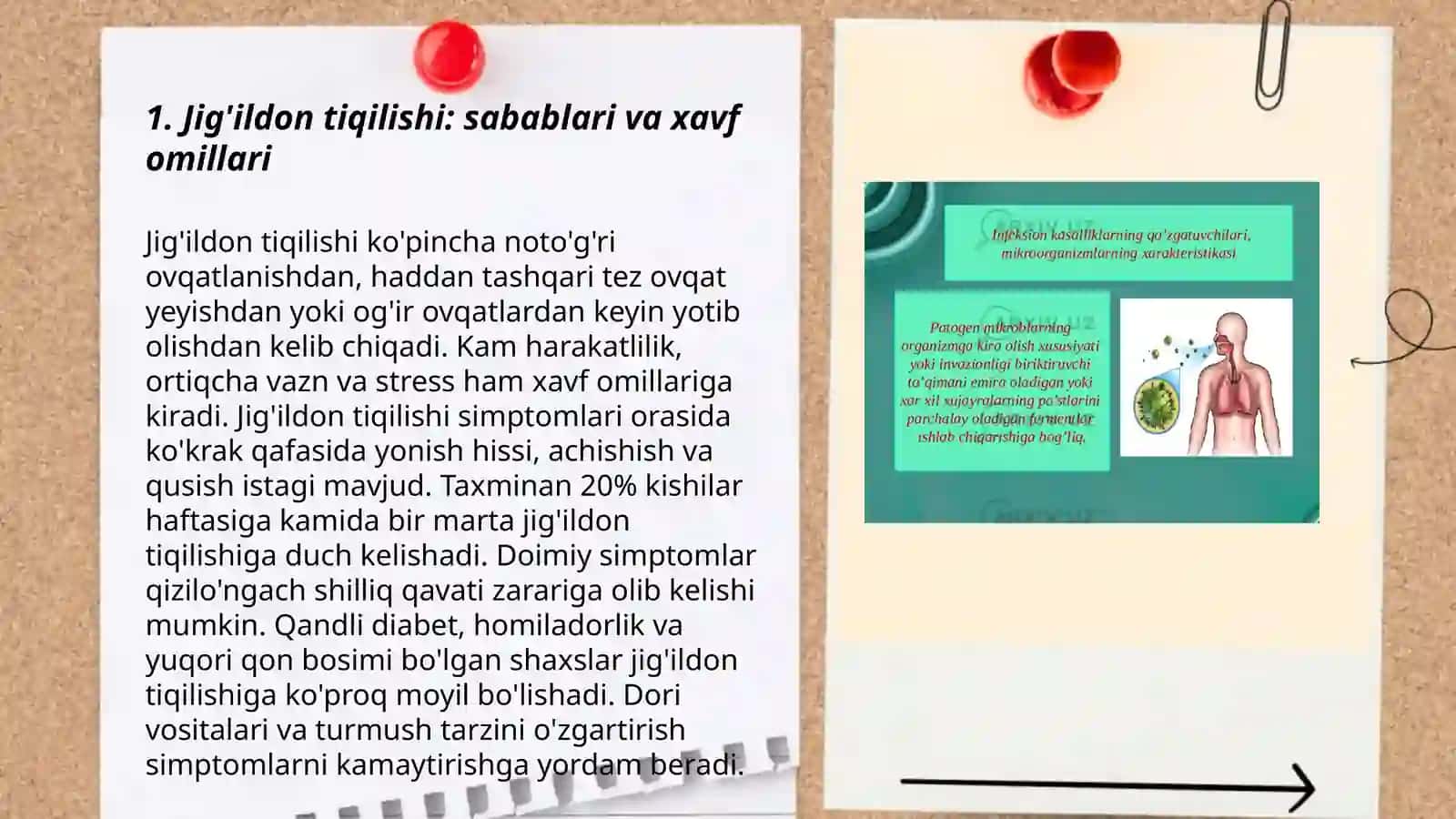 Parrandalarda jig'ildon tiqilishi va yallig'lanishi kasallilarining kelib chiqishi va davolash 3