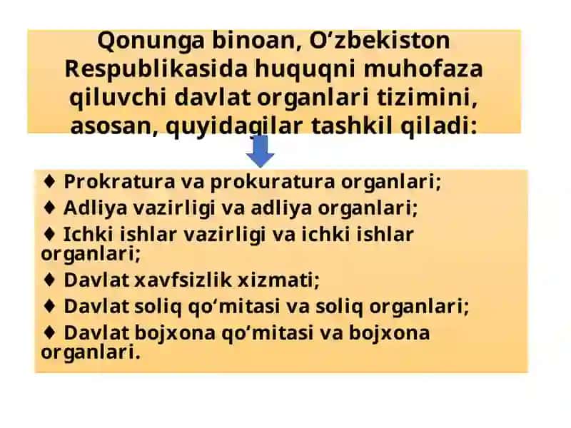 Huquqnimuhofazaqiluvchidavlatorganlari 3