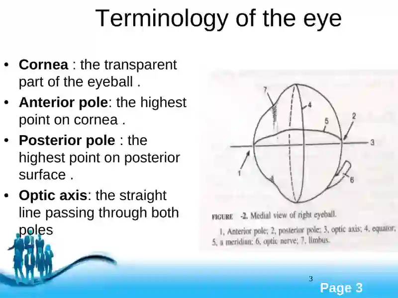 TheEye 3