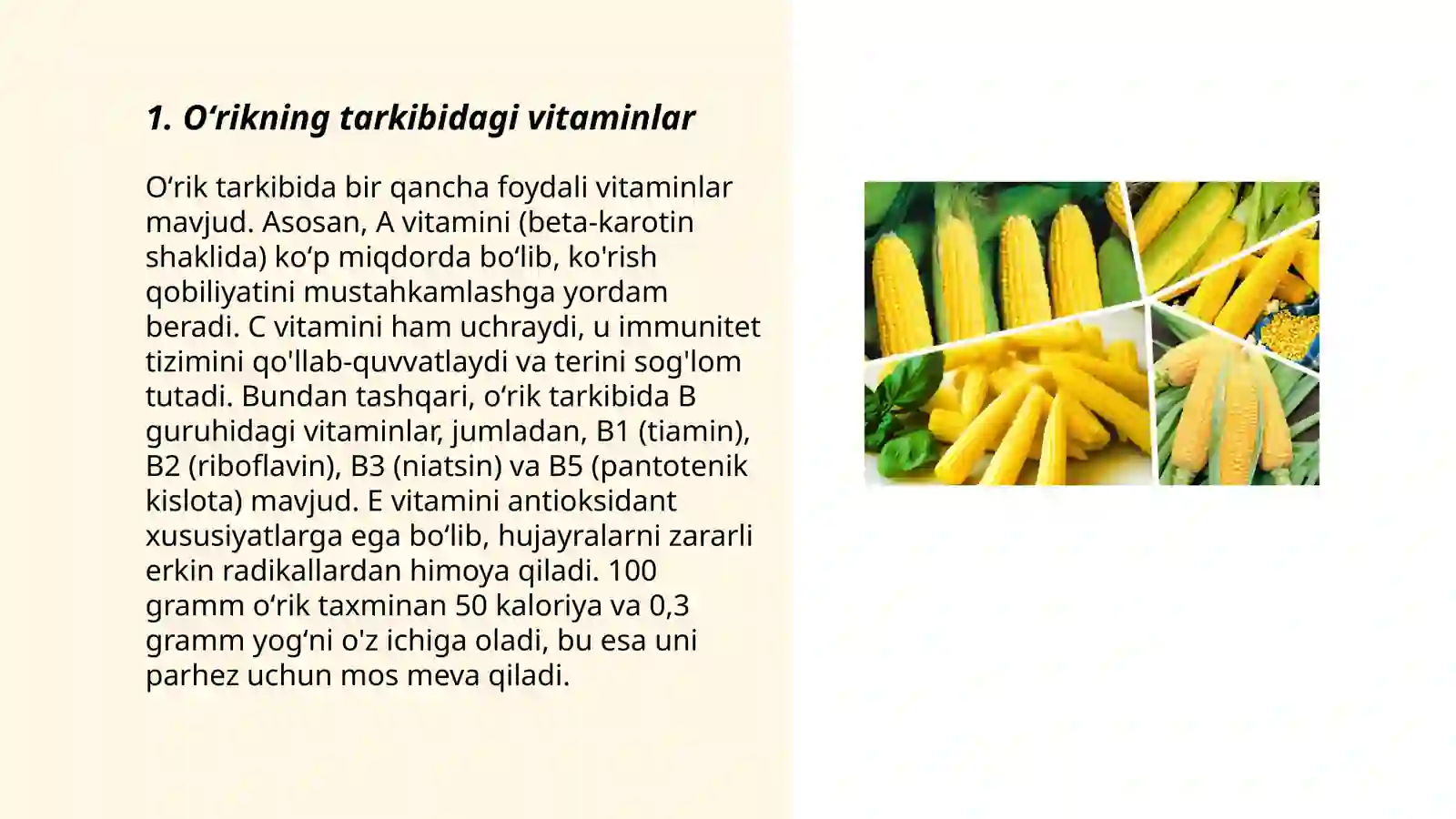 Tarkibida vitaminlar boʻlgan dorivor oʻsimliklar va mahsulotlar 3