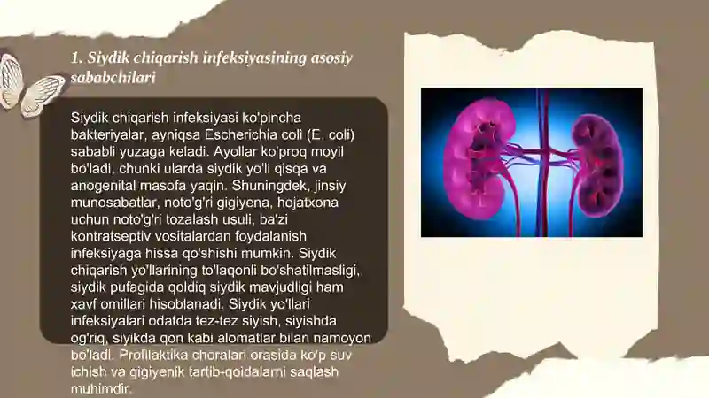 Siydik chiqarish infeksiyasi 3