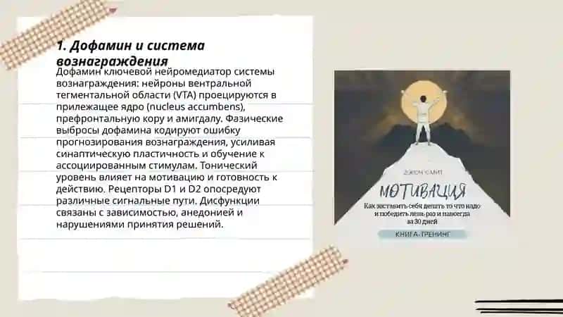 Мотивация: как мозг заставляет на что-то делать 3