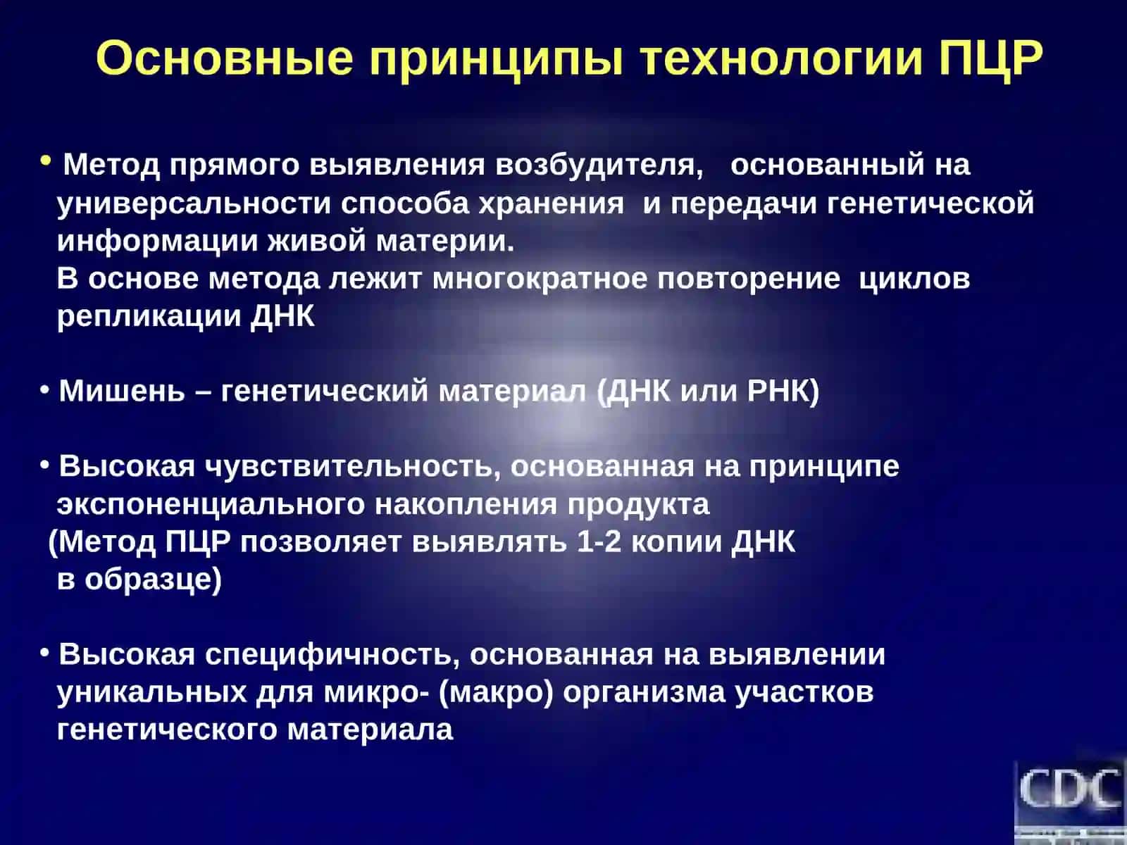 Полимеразная цепная реакция 3