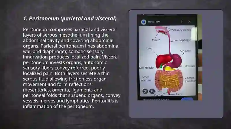 Abdominal cavity 3