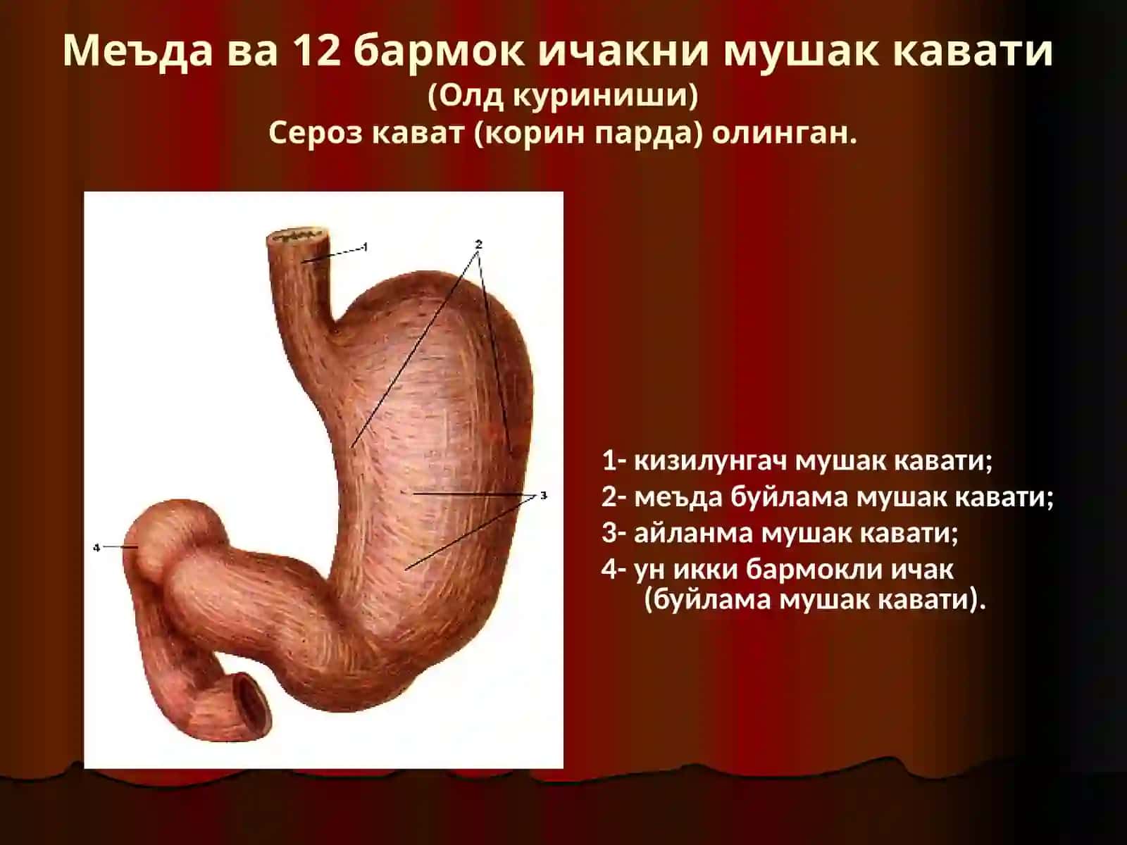 Меъда ва ун икки бармок ичак яра касаллиги 3