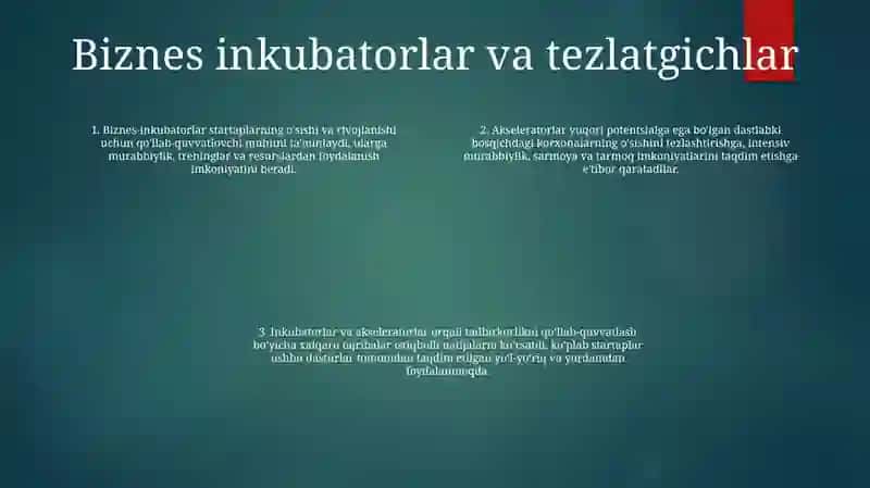 Tadbirkorlik Faoliyatini Qollab-Quvvatlashning Xorij Tajribalari 3